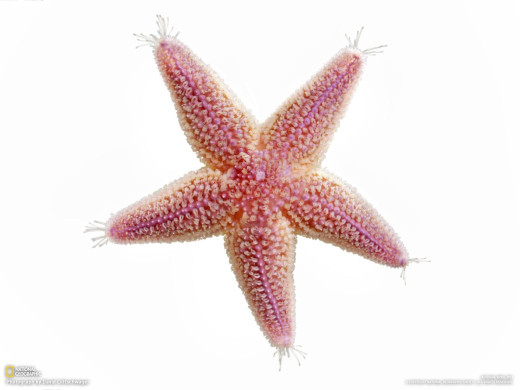 588941 (a): :1600x1200